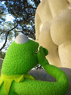 kero, Froschpuppe, Kermit, Frosch, erstaunt, Hintern, aussehen, Zahl, Statue, Stein, Baum, grüne Farbe, Pflanze, Natur, keine Leute, Nahansicht, Tag, Blatt, Flachwinkelansicht, Ast, Hut, Pflanzenteil, draußen, Wachstum, Darstellung, Kunst und Handwerk, Essen und Trinken, Spielzeug, Himmel, menschliche Darstellung, 4K, CC0, gemeinfrei, lizenzfrei