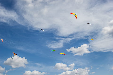 kites, skyer, klar, himmel, sommer, ligegyldighed, blå, slanger, vejr, luft, underholdning, solrig, lykke, barndom, flyvende, Midt i luften, sky - himmel, glente, lav vinkel visning, kite-toy, natur, skønhed i naturen, dag, dyreliv, fugl, gruppe af dyr, hvirveldyr, dyr, ingen mennesker, dyre temaer, vind, miljø, dyr i naturen, udendørs, 2K, CC0, offentligt domæne, royaltyfrie