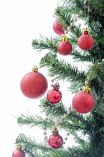 punainen bauble paljon, puu, esittää, joulu, koristeltu, yksittäinen, koriste, ornamentti, loma-, juhlia, juhla, sisustus, lahja, joulukoriste, punainen, joulukoristeet, pallo, talvi-, koristeellinen, vihreä väri, kiiltävä, joulukuusi, riippuva, sisällä, ei ihmisiä, lähikuva, juhla tapahtuma, loma - tapahtuma, kasvi, tapahtuma, matala kulma, asetelma, 1080P, CC0, public domain, rojaltivapaa