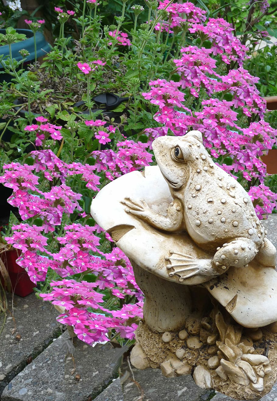 rana, giardino, statua, fiore, colore rosa, pianta, nessuno, all'aperto, giorno, pianta fiorita, rappresentazione, scultura, arte e artigianato, crescita, natura, solido, creatività, bellezza nella natura, rappresentazione animale, avvicinamento, vulnerabilità, fragilità, viola, 2K