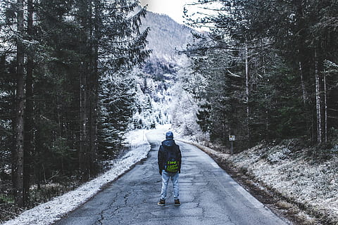 person, walks, road, surround, pine trees, forest, mountain, plants, trees, pine, crack, damage, ice, frozen, snow, cold, people, man, travel, trip, adventure, back, bag, rear view, winter, cold temperature, one person, mid adult, one man only, walking, mid adult men, adults only, real people, tree, lifestyles, plant, leisure activity, full length, the way forward, direction, day, nature, beauty in nature, motion, growth, casual clothing, outdoors, diminishing perspective, warm clothing, 5K, CC0, public domain, royalty free