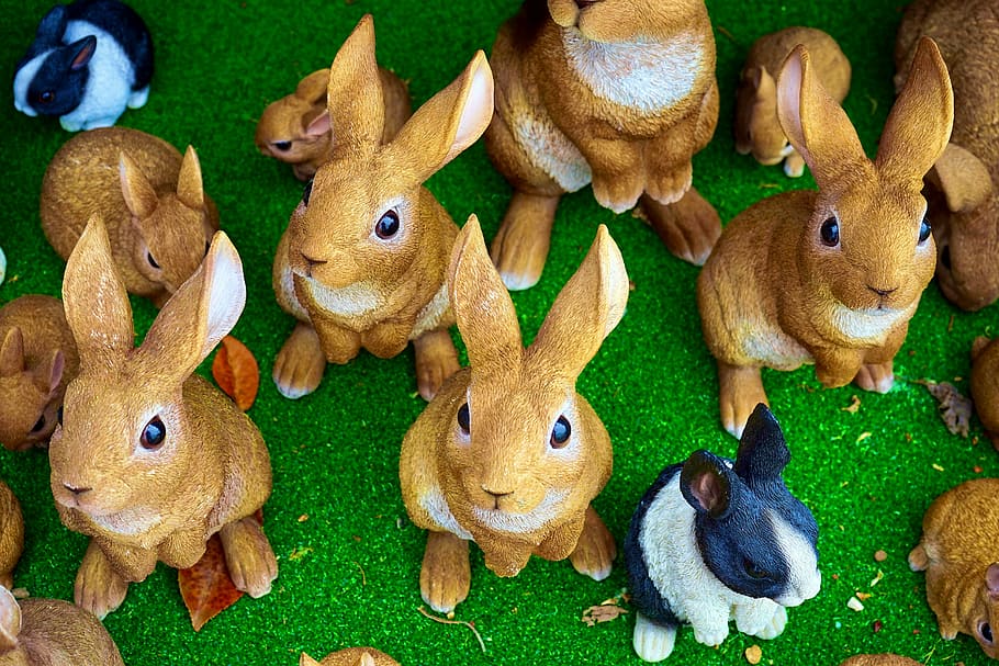 conills, conill, Pasqua, bonic, animal, primavera, blanc, mascota, feliç, color, esponjós, orelles, mamífer, jove, naturalesa, nacional, nadó, pelut, marró, vida salvatge, dolç, petit, adorable, pell, divertit, herba, cara, juganer, estiu, assegut, verd, representació animal, celebració, figureta, tradició, vista d’angle alt, cultures, cap gent, a l'interior, representació, joguina, art i artesania, joguina de peluix, conill - animal, temes d'animals, festa, creativitat, natura morta, decoració, animal de joguina, primer pla, 5K