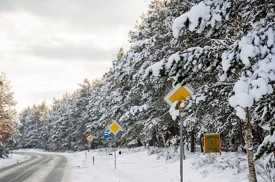 gul, skilte, vintervej, landskab, natur, sne, vinter, koldtemperatur, udendørs, træ, vej, is, vejr, sæson, landlige scene, hvid, Skov, ingen mennesker, Frosset, kold temperatur, dag, plante, skilt, skønhed i naturen, scenics - natur, himmel, vejskilt, dækker, vækst, sky - himmel, ikke-urbane scene, ekstremt vejr, 4K