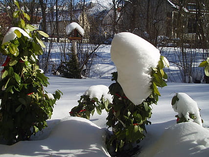 Winter, Voliere, Schnee, kalte Temperatur, Pflanze, weiße Farbe, Natur, Baum, keine Leute, Tag, Schönheit in der Natur, Darstellung, Schneemann, gefroren, Abdeckung, Wachstum, menschliche Darstellung, Kunst und Handwerk, draußen, Skulptur, 720P, CC0, gemeinfrei, lizenzfrei