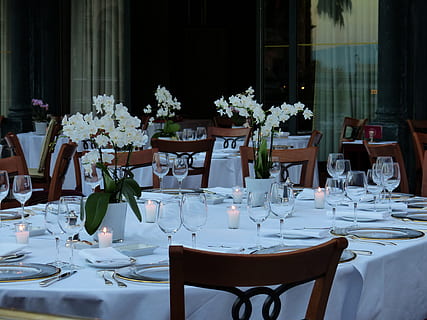 hvit, orkideer midtpunktet, bord, borde, dekke, middag, romantisk, feiring, bestikk, briller, spise, restaurant, vertshus, spisestue, blomst, blomstrende plante, sted innstilling, innstilling, stol, vinglasset, ordning, sete, virksomhet, møbler, glass, anlegg, ingen folk, bordduk, spisebord, vase, natur, glass - materiale, utendørs, rekkefølge, blomsterdekorasjon, 4K, CC0, offentlig domene, opphavsrett gratis