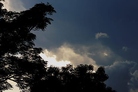 nebe, mraky, temný, vrstvené, západ slunce, světlo, blues, strom, Příroda, mrak - nebe, venku, scén, scéna s oblaky, silueta, nikdo, krása v přírodě, rostlina, nízký úhel pohledu, klid, růst, scenics - příroda, klidné scény, den, idylický, slunečního světla, mimoměstské scény, koruny stromů, 4K, CC0, veřejná doména, bez autorských práv