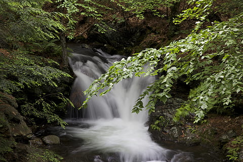 stream, vandfald, strøm, vandfald, bevægelse, vand, scenics - natur, lang eksponering, skønhed i naturen, flydende vand, plante, Skov, klippe, flyder, rock-objekt, solid, jord, natur, træ, sløret bevægelse, ikke-urbane scene, miljø, ingen mennesker, udendørs, regnskov, magt i naturen, faldende vand, strøm - rindende vand, renhed, 5K, CC0, offentligt domæne, royaltyfrie