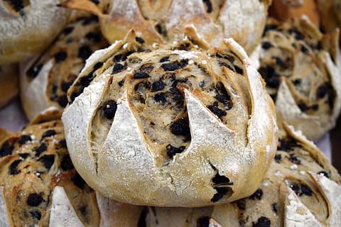pane, forno, il panificio, cibo, al forno, freschezza, Pasticcino, avvicinamento, buongustaio, Marrone, cottura al forno, cibo e bevande, temi animali, un animale, animali allo stato selvatico, fauna selvatica, nessuno, concentrarsi sulle conoscenze acquisite, vista dall'alto, natura, animale, giorno, fotogramma intero, all'aperto, verdura, terra, modello, direttamente sopra, 5K, CC0, dominio pubblico, privo di copyright