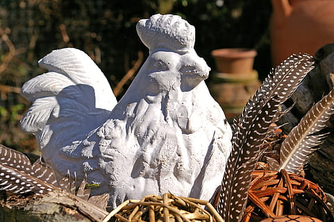 deco, påske indretning, forår, påske, fjer, Hahn, dekohahn, aussendeko, gibs, gibsfigur, påske dekoration, god påske, hvid, påske dekorationer, dekoration, figur, påske humør, påskehilsen, kunsthåndværk, håndværk, håndarbejde, kunst og kunsthåndværk, dekorative elementer, have, dekorative, havebord, natur, menneskelig repræsentation, repræsentation, skulptur, Kunst og håndværk, statue, kreativitet, ingen mennesker, fokus på forgrunden, mandlig lighed, dag, spiritualitet, religion, tro, tæt på, kvindelig lighed, udendørs, hvid farve, plante, Engel, 2K, CC0, offentligt domæne, royaltyfrie
