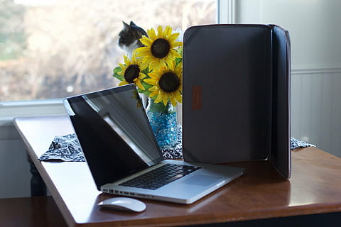 mouse-ul magic, măr, șoarece, in caz, caz, tehnologie, Mac, macbook, MacBook Pro, floare, floarea-soarelui, calculator, masa, tehnologia fără fir, laptop, comunicare, rețea de calculatoare, în interior, conexiune, Internet, folosind laptopul, oameni, planta cu flori, zi, plantă, Afaceri, natură, carte, lucru, 2K, CC0, domeniu public, fără drepturi de autor