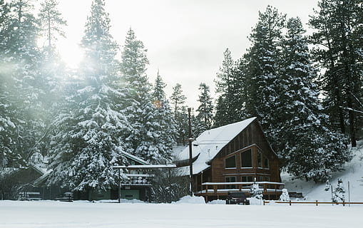architektonisch, Fotografie, braun, Haus, Kiefern, Wintersaison, Schnee, bedeckt, Kabine, Bäume, Tag, Zeit, Baum, Winter, Chalet, schneebedeckt, Natur, kalte Temperatur, Wald, draußen, Landschaft, ländliche Szene, keine Leute, Nicht-städtische Szene, szenen, Farbbild, Jahreszeit, Wetter, die Architektur, Pflanze, gebaute Struktur, Gebäudehülle, Gebäude, Schönheit in der Natur, weiße Farbe, gefroren, Land, Abdeckung, Himmel, Szenen - Natur, extremes Wetter, Nadelbaum, schneit, Hütte, Kiefer, 2K, CC0, gemeinfrei, lizenzfrei