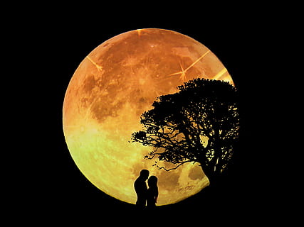 silhueta, casal, cheio, lua, amantes, par, luar, romance, amor, juntos, união, conectividade, para dois, amizade, humor, romântico, humano, natureza, relação, árvore, céu, espaço, uma pessoa, noite, forma, forma geométrica, astronomia, círculo, tranquilidade, beleza na natureza, lua cheia, cena tranquila, ao ar livre, plantar, cor preta, lua planetária, 4K, CC0, domínio público, royalty free