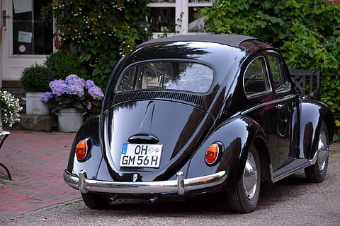 aparcat, negre, Volkswagen Beetle Coupé, tecnologia, oldtimer, escarabat, vw, 1950, cismar, holstein, monestir, manera de transport, cotxe, transport, automòbil, flor, planta, planta amb flors, vehicle terrestre, ciutat, cap gent, arquitectura, dia, naturalesa, carrer, estacionari, a l'aire lliure, exterior de l'edifici, text, carretera, arranjament floral, esperant, vehicle terrestre personal, 5K, CC0, domini públic, lliure de regalies