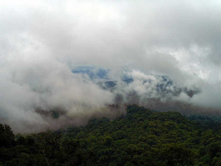 selva tropical, núvols, tropical, verd, naturalesa, Costa Rica, núvol - cel, medi ambient, bosc, arbre, muntanya, fum - estructura física, terra, cel, bellesa a la natura, planta, boira, cap gent, paisatge, escenics - natura, incendi forestal, a l'aire lliure, cremant, foc - fenomen natural, pi, Pol · lució, smog, bosc de pi, cim de muntanya, arbre de coníferes, 2K