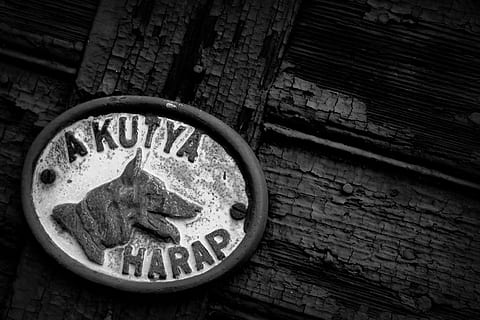 gate, board, dog, bite, biter, entrance, not allowed, black and white, wood - material, text, no people, communication, western script, close-up, indoors, high angle view, brick, wall, wood, brick wall, table, day, capital letter, sign, still life, ashtray, social issues, 5K, CC0, public domain, royalty free