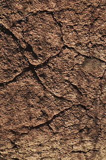 textura, terra, esquerdat, fons, marc complet, patró, marró, primer pla, cap gent, aspre, sec, naturalesa, macro, geologia, dia, còpia espai, patró natural, tronc de l'arbre, a l'aire lliure, clima, efecte texturat, clima àrid, 1080P, CC0, domini públic, lliure de regalies