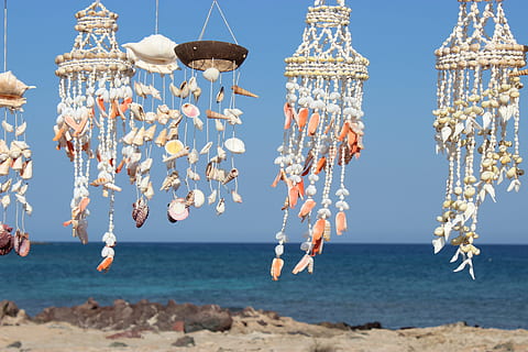 conchiglia, mare, blu, acqua, spiaggia, natura, terra, cielo, destinazioni di viaggio, cielo sereno, giorno, concentrarsi sulle conoscenze acquisite, gruppo di animali, viaggio, animale, nessuno, all'aperto, temi animali, grande gruppo di oggetti, orizzonte, orizzonte sull'acqua, marino, 5K, CC0, dominio pubblico, privo di copyright