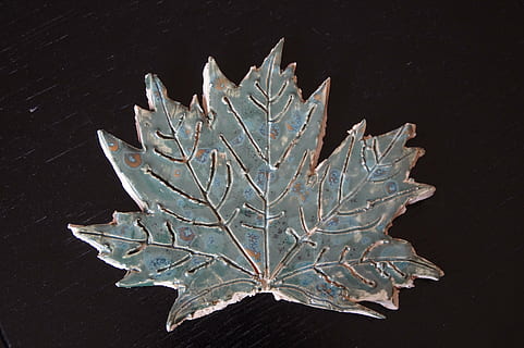 full, so, maple, fulla d'auró, verd, rèplica, weel, esmalt, mà d'obra, a l'interior, naturalesa, cap gent, fons negre, primer pla, planta, sol objecte, temperatura de fred, directament a sobre, bellesa a la natura, cristall, tir de l'estudi, taula, creixement, hivern, patró, gel, part de la planta, 5K, CC0, domini públic, lliure de regalies