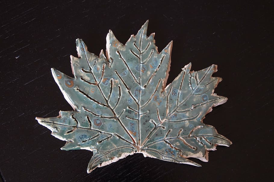 full, so, maple, fulla d'auró, verd, rèplica, weel, esmalt, mà d'obra, a l'interior, naturalesa, cap gent, fons negre, primer pla, planta, sol objecte, temperatura de fred, directament a sobre, bellesa a la natura, cristall, tir de l'estudi, taula, creixement, hivern, patró, gel, part de la planta, 5K