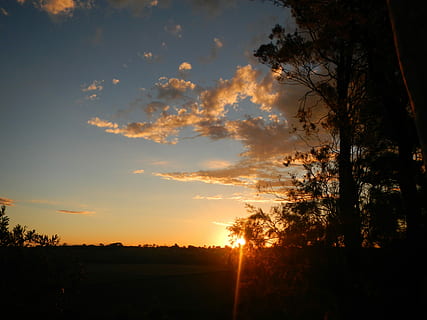 solnedgang, sol, stråle, Sky, silhuet, sol, ray, aften, skumring, træ, natur, rolig scene, scenics, himmel, skønhed i naturen, scenics - natur, plante, ro, orange farve, sky - himmel, ingen mennesker, jord, idyllisk, landskab, miljø, ikke-urbane scene, sollys, vækst, udendørs, 4K, CC0, offentligt domæne, royaltyfrie