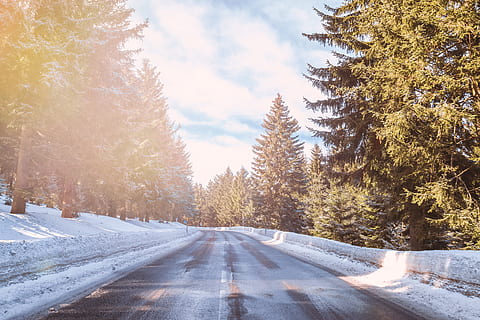 asfaltvej, høj, træer, dagtimerne, vej, omgivet, overskyet, himmel, smuk, vintervejr, Skov, træ, vinter, sne, natur, landskab, udendørs, koldtemperatur, ingen mennesker, scenics, is, sæson, ikke-urbane scene, Frosset, frost, vejr, landlige scene, hovedvej, dag, kold temperatur, plante, retning, vejen frem, skønhed i naturen, transportmidler, ro, rolig scene, scenics - natur, dækker, faldende perspektiv, fyrretræ, nåletræ, snedækket bjerg, 4K, CC0, offentligt domæne, royaltyfrie
