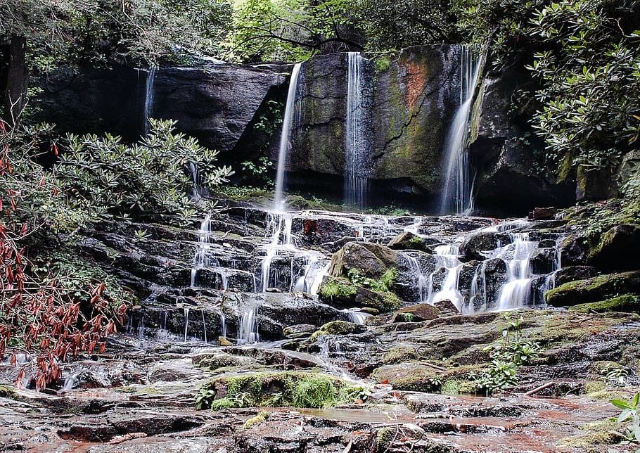 cascada, rierol, medi ambient, cau, flux, bosc, paisatge, fulles, molsa, moviment, naturalesa, a l'aire lliure, ràpids, recreació, riu, rock, roques, escènic, pedra, corrent, lapse de temps, viatjar, arbres, aigua, cascades, humit, salvatge, fusta, aigua que flueix, arbre, escenics - natura, exposició llarga, planta, bellesa a la natura, moviment borrós, terra, rock - object, cap gent, sòlid, que flueix, dia, poder a la natura, caient aigua, selva tropical, 1080P