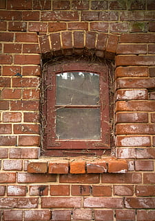 finestra, vecchio, di pietra, muro di pietra, parete, vecchio, ingrowing, sfondo, pietra, vecchia finestra, giardino, mattone, caratteristica della parete, muro di mattoni, sfondi, architettura, Marrone, sporco, architettura ed edifici, materiale lapideo, esterno dell'edificio, struttura costruita, strutturato, rosso, nessuno, giorno, costruzione, modello, all'aperto, Inquadratura dal basso, fotogramma intero, vetro - materiale, forma, design, telaio della finestra, 4K, CC0, dominio pubblico, privo di copyright