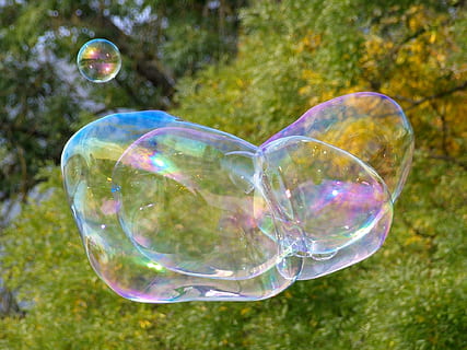 Soap Bubble, Blubber, large, bubble, soap sud, bubble wand, mid-air, grass, fragility, vulnerability, transparent, nature, plant, sphere, reflection, day, no people, close-up, focus on foreground, tree, shiny, outdoors, beauty in nature, lightweight, 1080P, CC0, public domain, royalty free