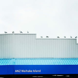 blanc, posat d’ocells, edifici, brides, línia, línies, anz waiheke island, text, arquitectura, comunicació, còpia espai, estructura construïda, dia, cel, cap gent, guió occidental, signe, ocell, animal, animals a la natura, temes d'animals, transport, vista d’angle baix, cel clar, naturalesa, vertebrats, grup d’animals, a l'aire lliure, gavina, corrugat, 2K, CC0, domini públic, lliure de regalies