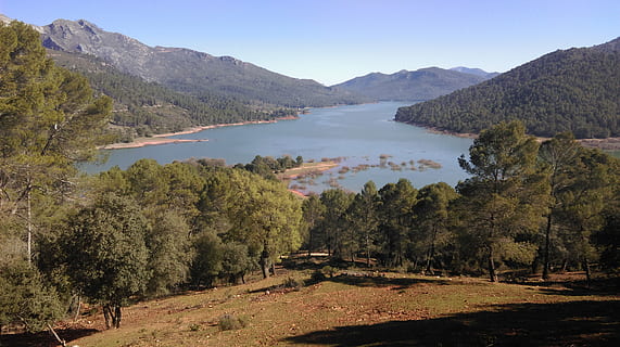naturalesa, rius, cazorla, arbre, muntanya, planta, escenics - natura, cel, aigua, bellesa a la natura, escena tranquil·la, medi ambient, terra, tranquil·litat, paisatge, cap gent, bosc, Serra, escena no urbana, dia, destinacions de viatge, a l'aire lliure, pi, arbre de coníferes, 4K, CC0, domini públic, lliure de regalies