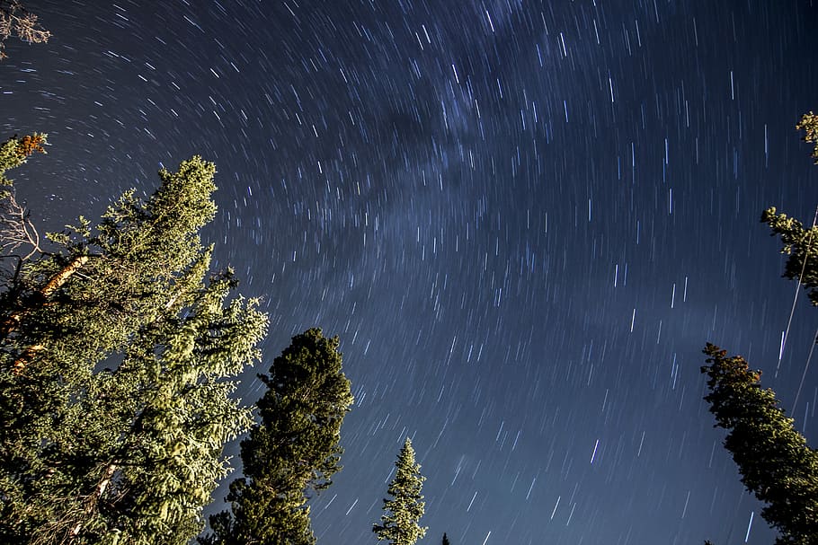 orm se, himmel, fyldt op, stjerner, lav, vinkel billede, træer, træ, stjerne, nat, Mælkevejen, stjerne trail, Skov, udendørs, Sky, lys, bjerg, piblede, tæt, frisk, lyse, astronomi, plads, stjerne - rum, plante, lang eksponering, scenics - natur, skønhed i naturen, bevægelse, natur, stjerne felt, ro, vækst, ingen mennesker, rolig scene, galakse, rum og astronomi, fyrretræ, nåletræ, 5K