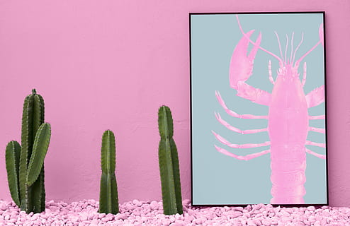 verde, cactus plante, lângă, roz, lobster pictura, reprezentare, culoarea roz, în interior, fundal colorat, montare pe perete, plantă, creativitate, artă și sculptură, vegetal, nici o persoana, natură, studio shot, Culoarea verde, alimente, mancare si bautura, 1080P, CC0, domeniu public, fără drepturi de autor