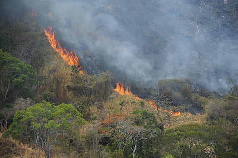 mountain, fire, disaster, burning, fire - natural phenomenon, smoke - physical structure, heat - temperature, forest fire, land, environment, tree, flame, nature, landscape, environmental issues, plant, communication, environmental damage, forest, sign, accidents and disasters, warning sign, no people, outdoors, pollution, air pollution, 4K, CC0, public domain, royalty free