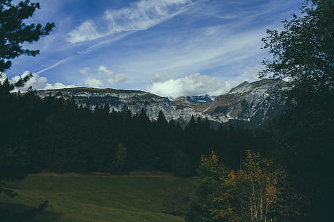 munţi, copaci, pădure, cer, peisaj, natură, vedere, decor, pitoresc, nori, Munte, scenics, copac, în aer liber, varf de munte, plantă, scenice - natura, nor - cer, frumusețe în natură, o scenă liniștită, de munte, liniște, mediu inconjurator, nici o persoana, scenă non-urbană, teren, creştere, zi, idilic, Brad, conifer, pini de pădure, un munte acoperit de zăpadă, 5K, CC0, domeniu public, fără drepturi de autor