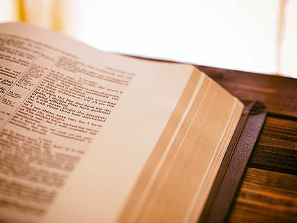 book page, top, brown, surface, close-up photo, bible, table, book, scripture, dictionary, devotion, psalm, growth, spiritual, word, psalm 119, law, focu, prayer, read, bible scripture, paper, publication, indoors, selective focus, no people, close-up, page, education, music, literature, wisdom, open, text, single object, communication, business, still life, arts culture and entertainment, hardcover book, 4K, CC0, public domain, royalty free