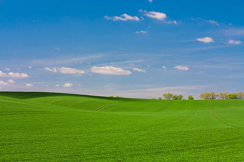 campo di erba verde, carta da parati di windows, terreno edificabile, giorno, foto, erba, cielo blu, nube, natura, campo, scena rurale, estate, cielo, prato, paesaggio, colore verde, blu, all'aperto, agricoltura, Paesaggi, nuvola - cielo, scena non urbana, pascolo, terra, orizzonte sopra terra, primavera, orizzonte, collina, azienda agricola, nessuno, bellezza nella natura, pianura, idilliaco, pianta, Cloudscape, ambiente, luce del sole, scena tranquilla, scenics - natura, sport, la tranquillità, pianta di cereali, paesaggio ondulato, verde - campo da golf, 4K, CC0, dominio pubblico, privo di copyright