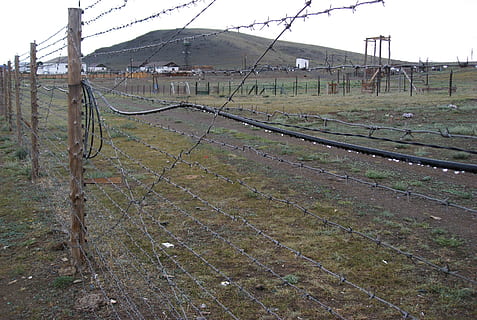 confine, confine russo, tashanta, steppa, recinto, giorno, barriera, sicurezza, struttura costruita, campo, nessuno, terra, architettura, cielo, protezione, natura, filo, all'aperto, elettricità, pianta, cavo, filo spinato, traccia, Alimentazione elettrica, 2K, CC0, dominio pubblico, privo di copyright