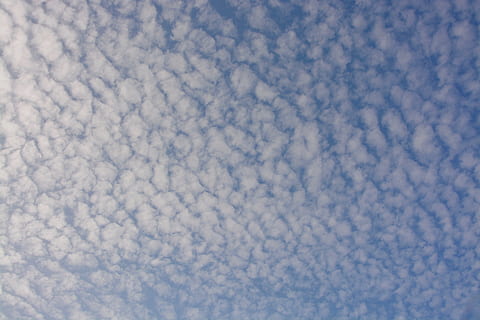 nuvole bianche, nuvole, cielo, cielo nuvoloso, pecora, cirro, nuvola - cielo, nessuno, Cloudscape, natura, blu, sfondi, bellezza nella natura, fotogramma intero, giorno, scenics - natura, ambiente, volante, all'aperto, veicolo aereo, aereo, mezzi di trasporto, astratto, atmosfera, morbidezza, 5K, CC0, dominio pubblico, privo di copyright