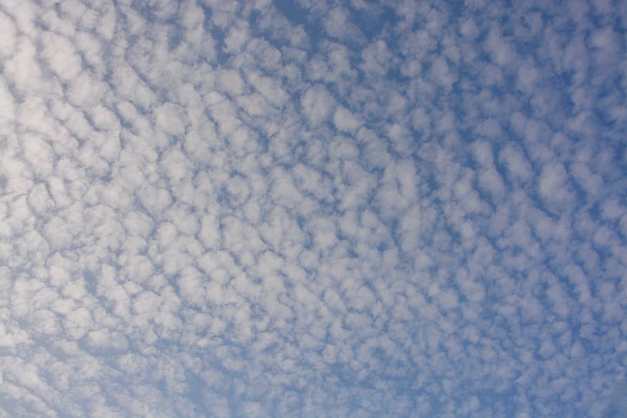 weiße Wolken, Wolken, Himmel, bewölkter Himmel, Schaf, Cirrus, wolke - himmel, keine Leute, Wolkengebilde, Natur, Blau, Hintergründe, Schönheit in der Natur, Vollbild, Tag, Szenen - Natur, Umgebung, fliegend, draußen, Luftfahrzeug, Flugzeug, Transport, abstrakt, Atmosphäre, Weichheit, 5K