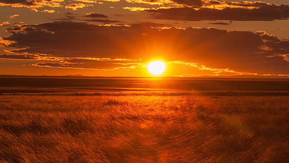 landscape photo, sunset, grassfield, landscape, photo, mongolia, lighting, back light, sunbeam, nature, orange color, sun, beauty in nature, scenics, sky, scenics - nature, tranquility, sunlight, tranquil scene, environment, cloud - sky, idyllic, horizon, dramatic sky, no people, water, land, outdoors, lens flare, horizon over water, 2K, CC0, public domain, royalty free