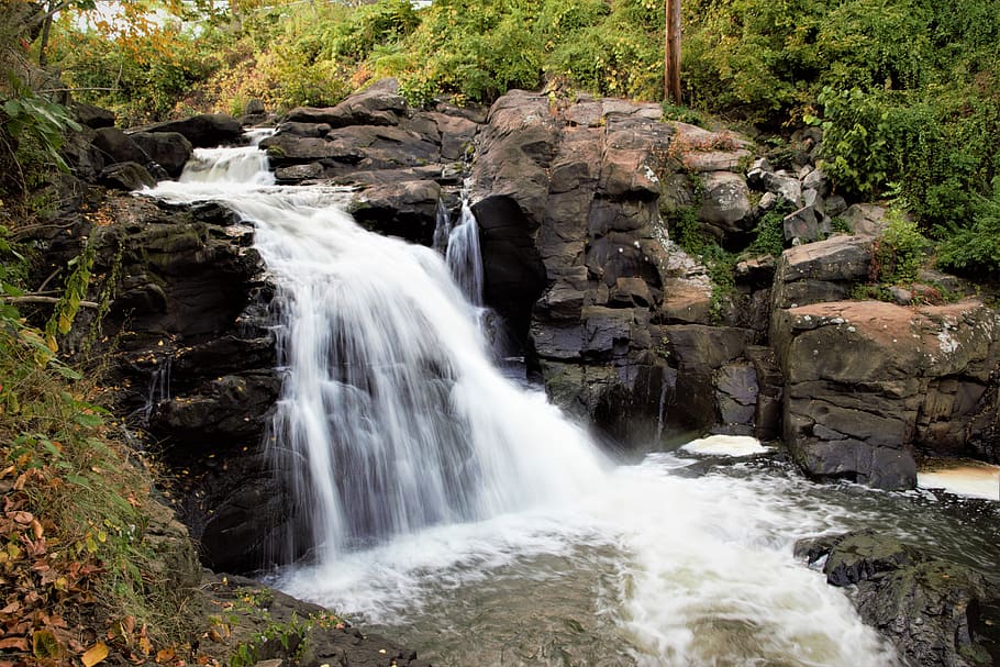 cascate, alberi, lato, acqua, cascata, fiume, ruscello, natura, all'aperto, panoramico, rapido, fluente, foresta, movimento, scenics - natura, bellezza nella natura, roccia, roccia - oggetto, solido, terra, albero, lunga esposizione, pianta, acqua corrente, nessuno, formazione rocciosa, movimento sfocato, scena non urbana, potere in natura, acqua che cade, foresta pluviale, 8K