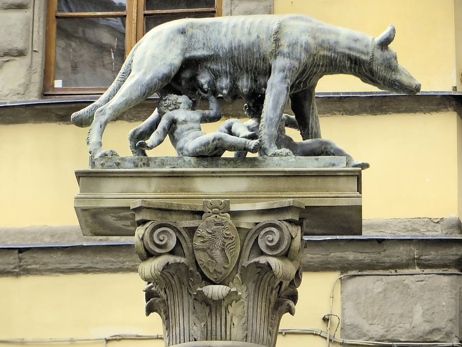 Itàlia, seva, columna, ella llop, romulus, remus, estàtua, color, art i artesania, escultura, representació, arquitectura, representació animal, artesania, creativitat, cap gent, estructura construïda, dia, exterior de l'edifici, talla - producte artesanal, aigua, el passat, història, Font, a l'aire lliure, animal, gàrgola, ornamentat, 4K