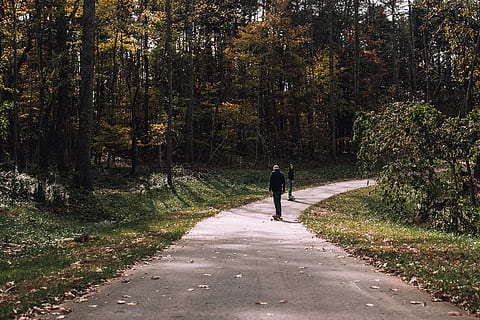 Due, persona, analizzare, cercare, guardare, strada asfaltata, skateboarding dell'uomo, grigio, strada, sentiero, traccia, parco, albero, lunghezza intera, pianta, retrovisore, la strada davanti, a piedi, persone reali, direzione, attività di svago, stili di vita, una persona, mezzi di trasporto, crescita, natura, giorno, uomini, adulto, all'aperto, 2K, CC0, dominio pubblico, privo di copyright