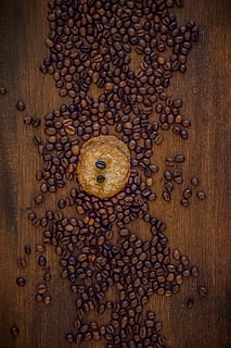 caffè, biscotto, benefici da, nero, bar, caffeina, bere, chicchi di caffè, fagioli, stimolante, aroma, caffè italiano, Marrone, bevanda al caffè, caldo, cibo e bevande, chicco di caffè tostato, cibo, nessuno, freschezza, grande gruppo di oggetti, in casa, avvicinamento, legno - materiale, caffè - bevanda, direttamente sopra, seme, abbondanza, frutta, natura morta, temi animali, animale, 5K, CC0, dominio pubblico, privo di copyright