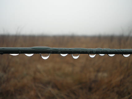 gota de pluja, sèrie, cable, tancar, gota d’aigua, metall, filferro espinós, tanca, acer, límit, centrar-se en primer pla, barrera, cap gent, primer pla, naturalesa, seguretat, dia, protecció, aigua, humit, cel, a l'aire lliure, terra, pluja, 4K, CC0, domini públic, lliure de regalies