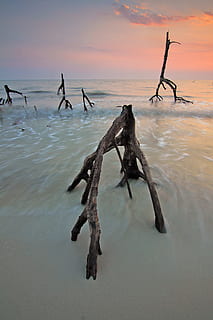 mar, alba, posta de sol, platja, núvols, llac, oceà, a l'aire lliure, reflexions, sorra, vora del mar, viatjar, troncs d’arbres, aigua, onades, cel, naturalesa, bellesa a la natura, tranquil·litat, escena tranquil·la, terra, escenics - natura, davant del mar, reflexió, núvol - cel, cap gent, escena no urbana, horitzó sobre l’aigua, material de fusta, fusta flotant, fusta, indústria pesquera, post de fusta, 2K, CC0, domini públic, lliure de regalies
