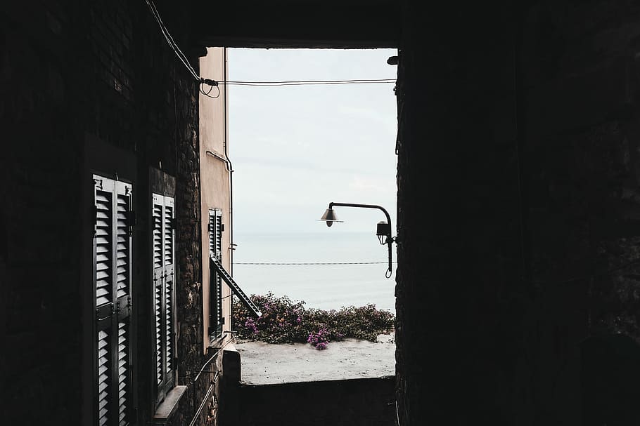 foto, porta, obert, rosa, flors de pètals, llum de post, beix, edifici, finestra, obturador, paret, cobertura, arbust, mar, Costa, llum, xt10, fuji, fujifilm, naturalesa, Itàlia, estructura construïda, arquitectura, cel, planta, cap gent, dia, exterior de l'edifici, a l'aire lliure, funció de construcció de parets, ciutat, arbre, carrer, cel clar, entrada, concret, 4K