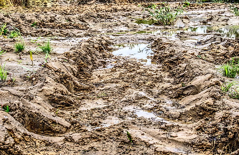 modder, spoor, profiel, herdruk, volwassen, volwassen afdruk, bandspoor, rijbaan, plaats, vuil, bebouwbaar, natuur, hdr, contrast, fabriek, geen mensen, kalmte, dag, land-, hoge hoekmening, water, groei, boom, veld-, buitenshuis, schoonheid in de natuur, milieu, rustige scène, gras, 5K, CC0, publiek domein, royaltyvrij