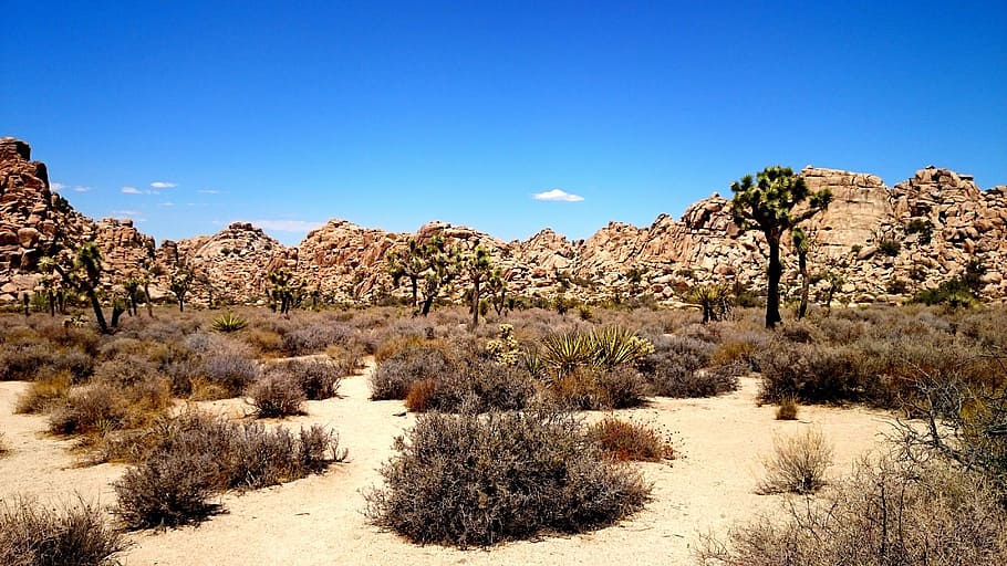 desert, arbre, cel blau, Toscana, cel, blau, paisatge, agricultura, naturalesa, planta, cel clar, escenics - natura, muntanya, rock - object, destinacions de viatge, cap gent, rock, terra, sòlid, bellesa a la natura, medi ambient, formació de roca, escena no urbana, viatjar, clima àrid, clima, semiàrid, a l'aire lliure, arbre de coníferes, 4K