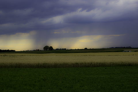 regn, skyer, skybrud, tordenvejr, sommerregn, solnedgang, natur, spektakulære, mørk, naturligt skuespil, brydning, meteorologi, landskab, felter, rugmark, redigeringer til, mætning, himmel, sky - himmel, miljø, Mark, plante, skønhed i naturen, ro, græs, rolig scene, jord, scenics - natur, landlige scene, ingen mennesker, landbrug, grøn farve, ikke-urbane scene, udendørs, 5K, CC0, offentligt domæne, royaltyfrie